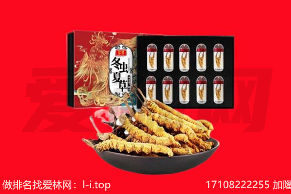 宜昌兴山县回收虫草.jpg